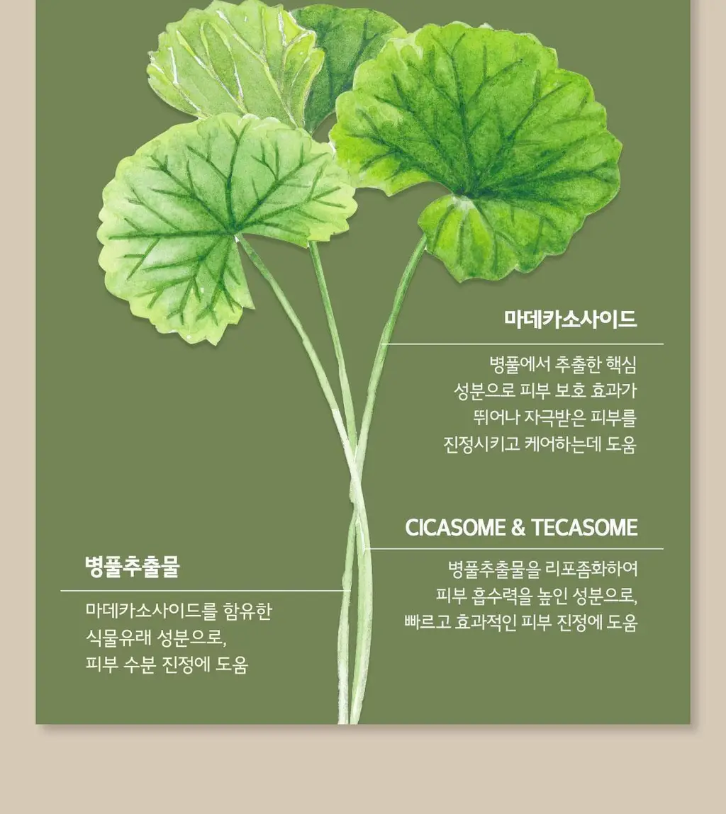 [열감진정] 스킨푸드 감자 마데카소사이드 수딩 패드 60매 상세페이지 17